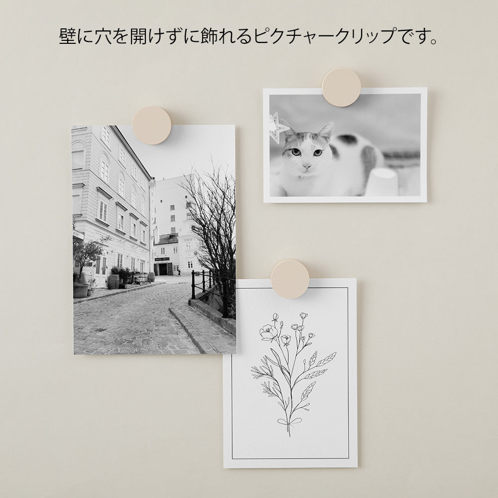 Wooden Picture Clip // 3 PACK