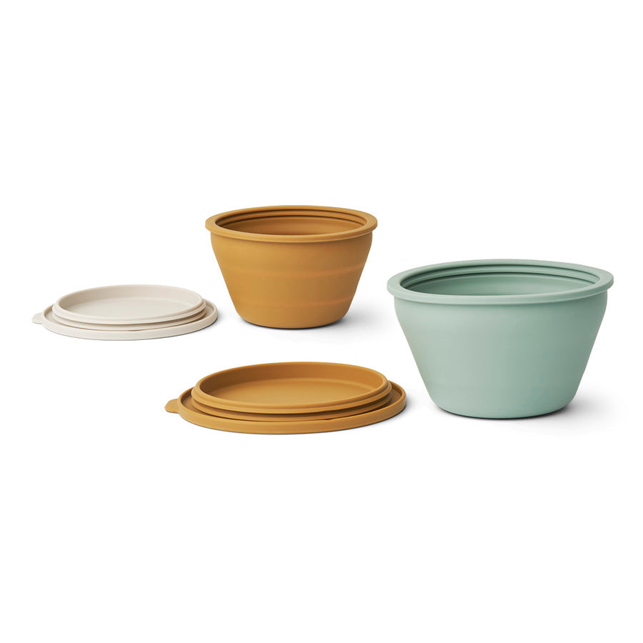 Dining . Foldable Bowl 2 Set - Various Colours